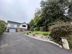 Photo 1- click for photo gallery